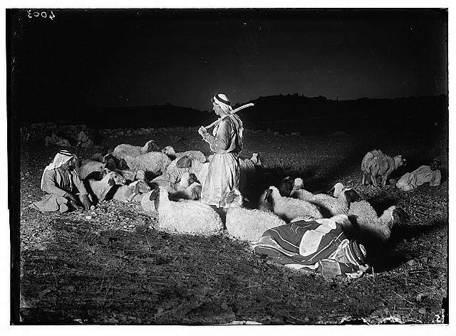 13845-Agriculture--etc--Shepherd-scenes---While-shepherds-watched-their-flocks---Night-scene-sho_zps6bd18081.jpg