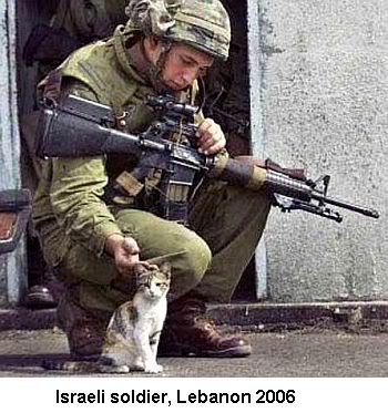 Soldier-cat2.jpg