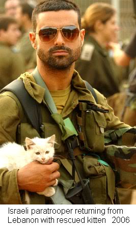 Soldier-white-cat.jpg