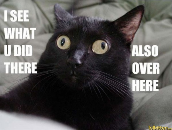 funny-cat-lolcat-confused-600x452.jpg