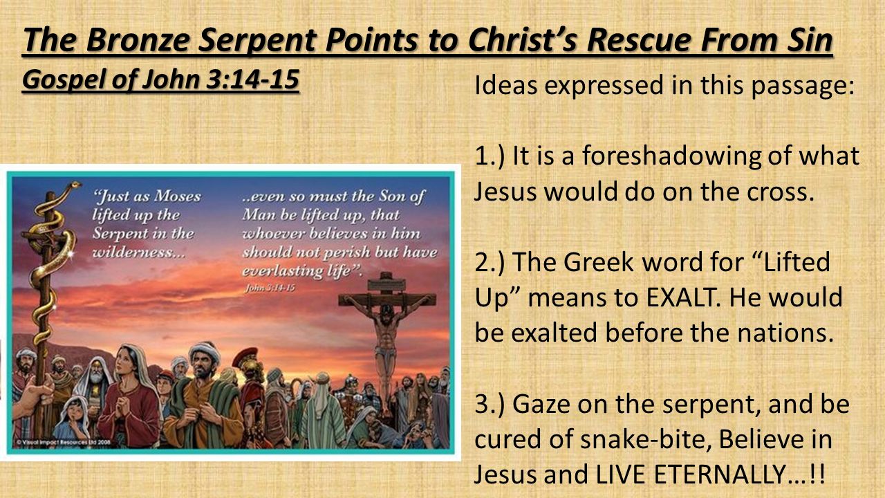 The+Bronze+Serpent+Points+to+Christ%E2%80%99s+Rescue+From+Sin.jpg