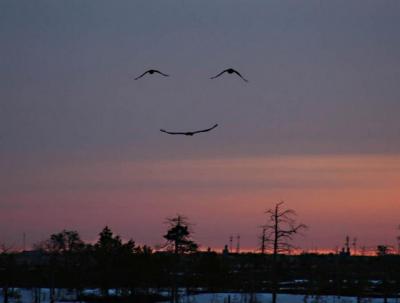 God-Smile.jpg