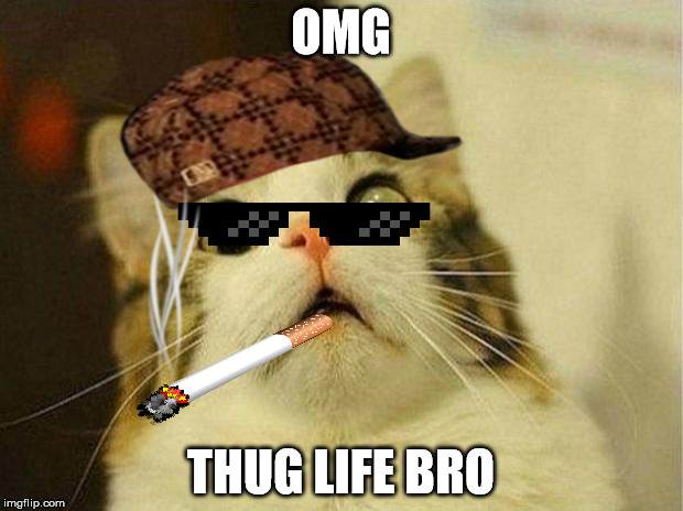 Top-26-thug-life-cat-Memes-10.jpg