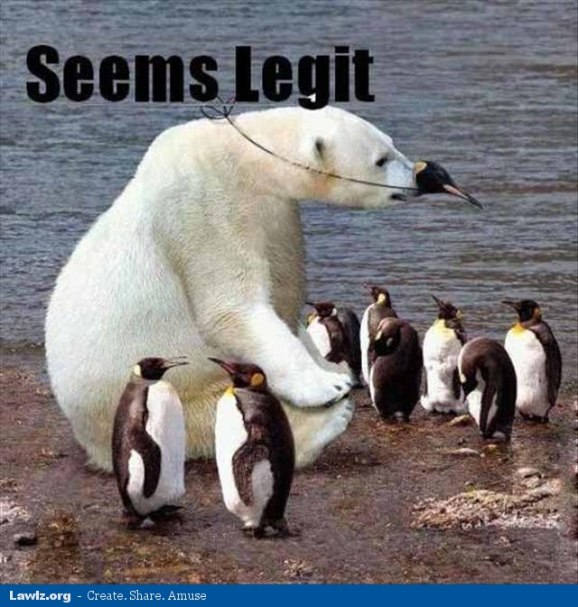 polar-bear-wearing-a-mask-penguins-seems-legit-funny-meme.jpg