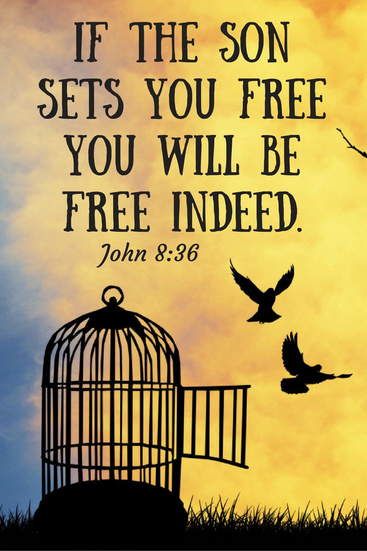 John-8-36-bible-verse-about-being-set-free-by-the-Lord-Jesus-Christ-Image-Images-Scripture-Bible-Passage.jpg
