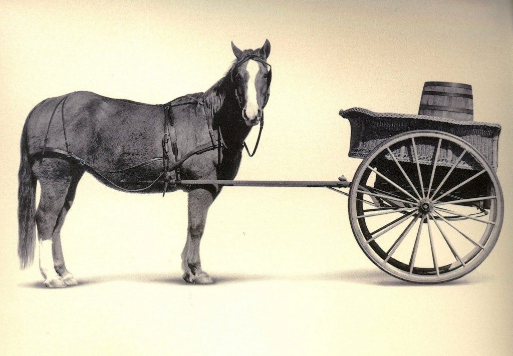 Cart-Before-the-Horse-e1472651603119.jpg
