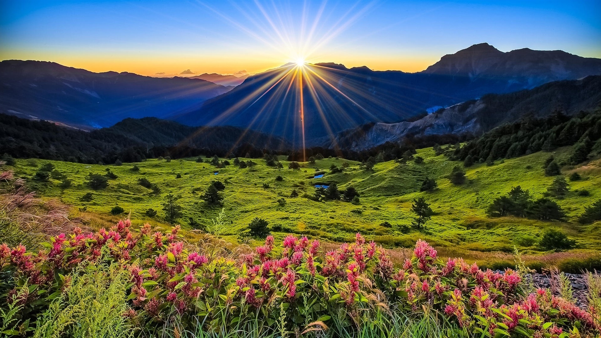 mountains-meadow-sunrise-flowers-beautiful-scenery-1080P-wallpaper.jpg