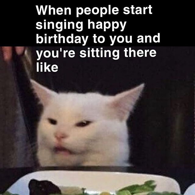 cat-with-salad-plate-meme.jpg
