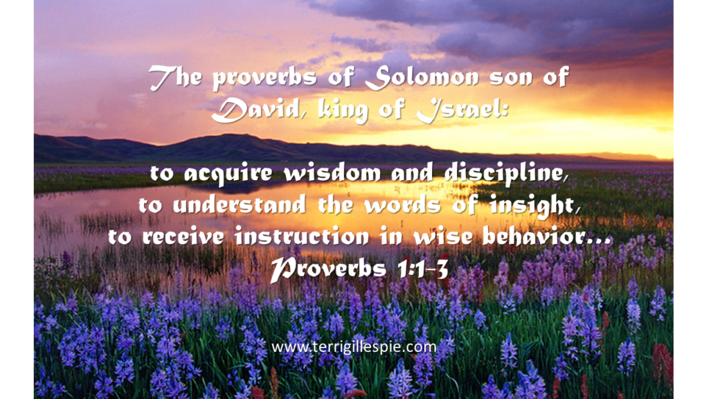 Proverbs1_1_3_2019-1024x576.png