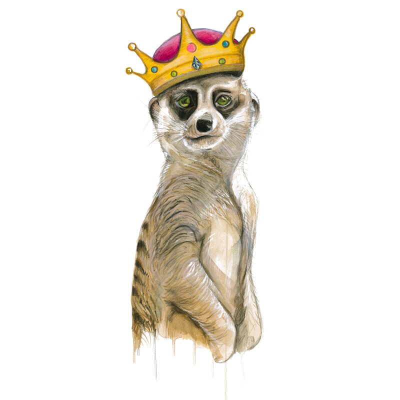 wizard-illustrations-bakercollection-meerkat-king-800x800-300dpi_preview.jpeg