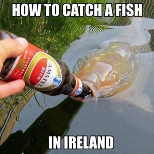 funny-fish-pictures-with-captions-3.jpg