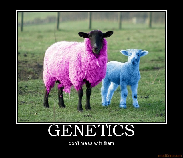 843663255-genetics-sheep-clone-genetics-wool-funny-demotivational-poster-1282283097.jpg