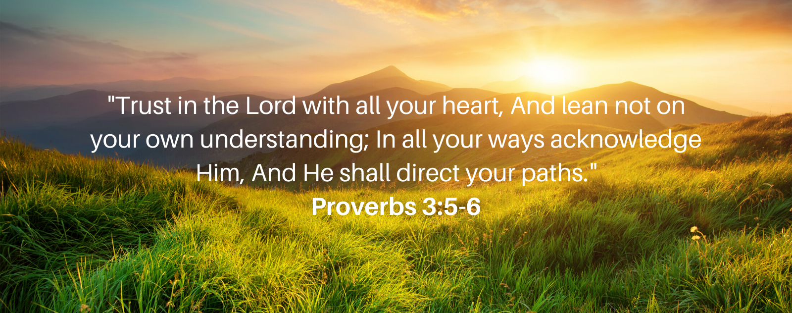 proverbs_3_5_6_verse.png