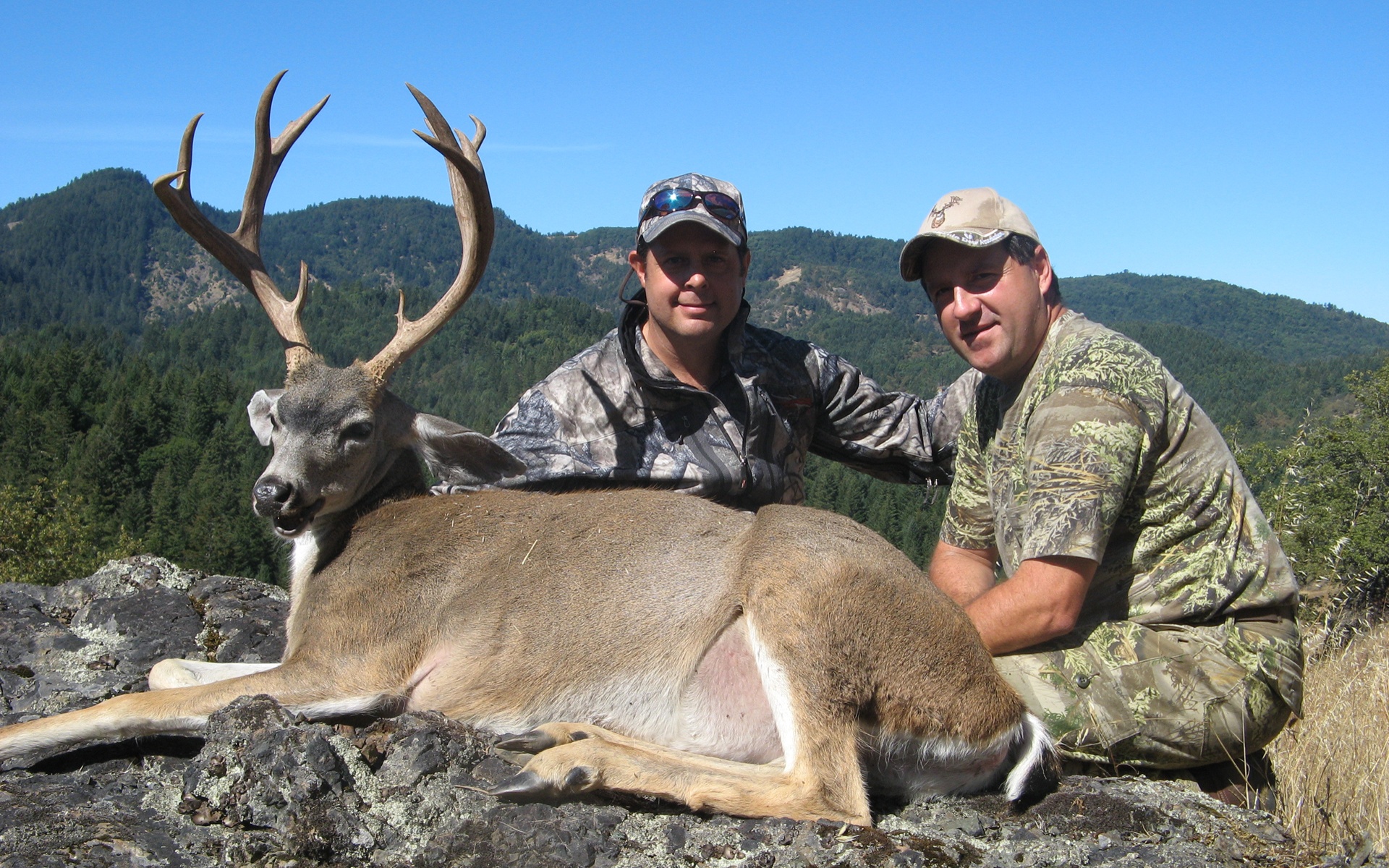 Blacktail-deer-hunting-CA-Ranch.jpg