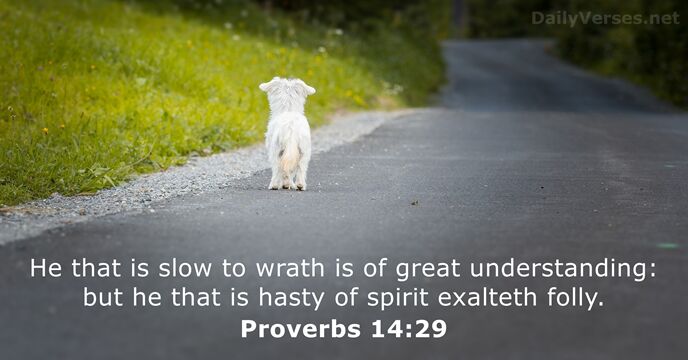 proverbs-14-29.jpg