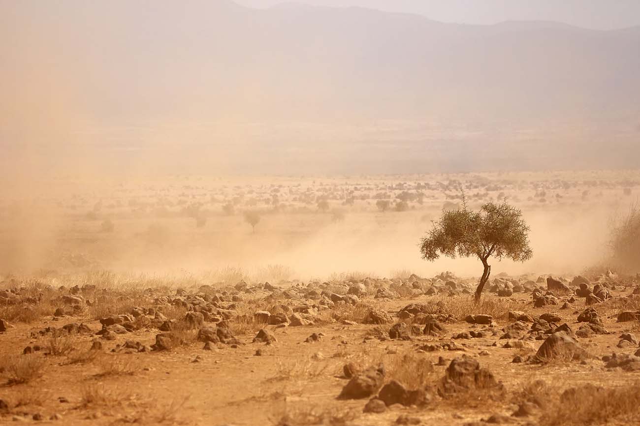 Dusty plains during a severe drought (Image: © Bigstock)