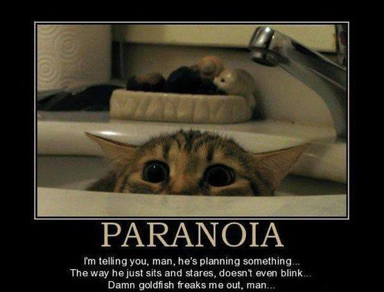 paranoia-im-telling-you-man-hes-planning-something.jpg