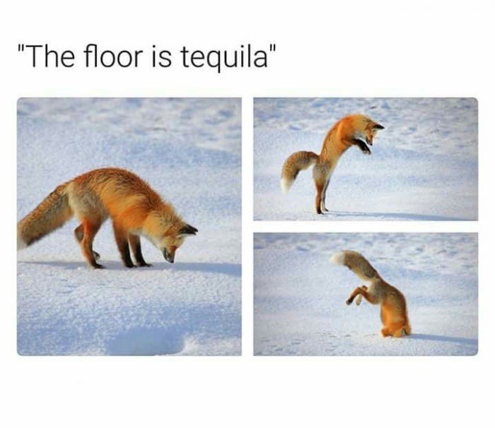 fox-floor-is-tequila