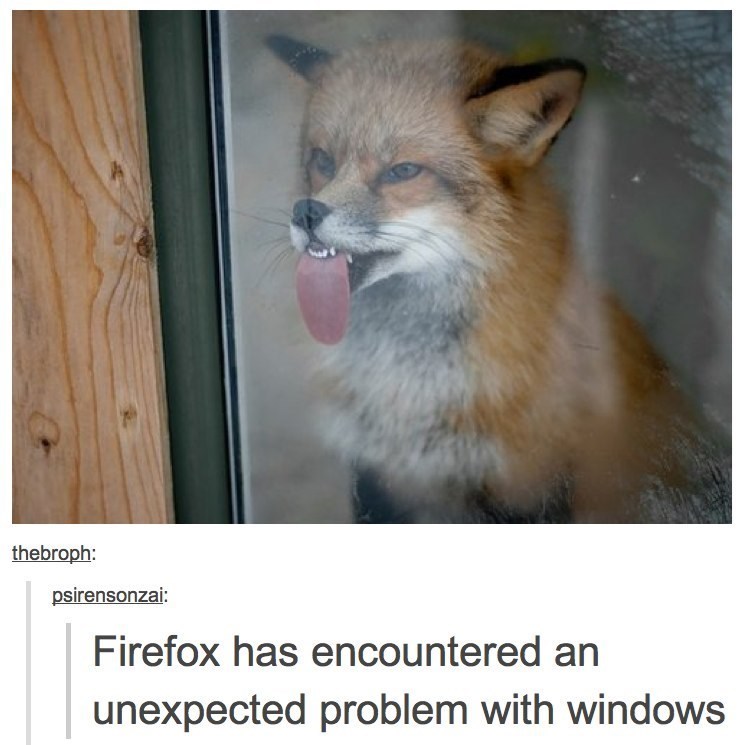 fox-thebroph-psirensonzai-firefox-has-encountered-an-unexpected-problem-with-windows