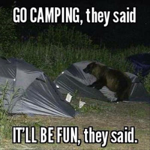 Camping-fun.jpg
