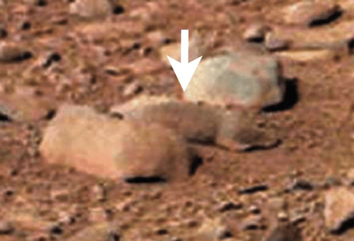 mars-rover-photo-of-prairie-dog.png