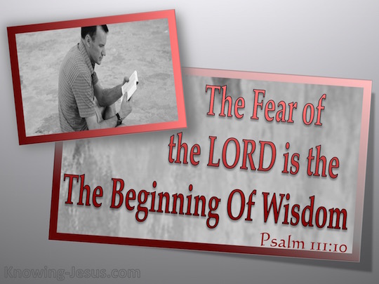 Psalm-110-10-The-Fear-Of-The-Lord-Is-The-Beginning-Of-Wisdom-gray-copy.jpg
