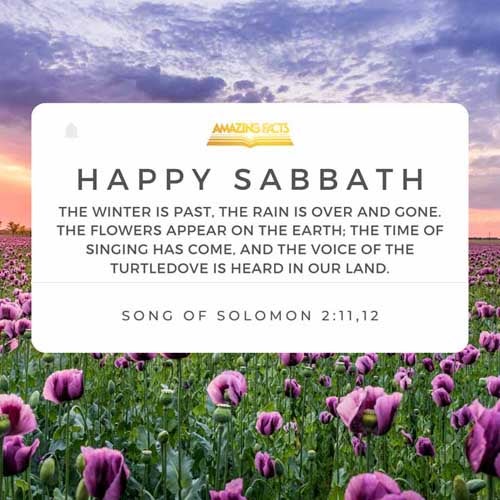 song-of-Solomon-2-11-12.jpg