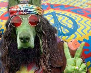 hippie-gamer-dog.jpg