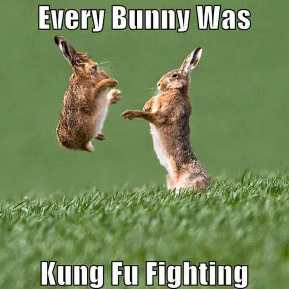 Easter-Bunny-Memes.jpg