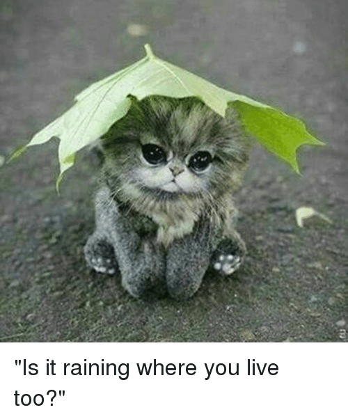 2-is-it-raining-where-you-live-too-11966959.png