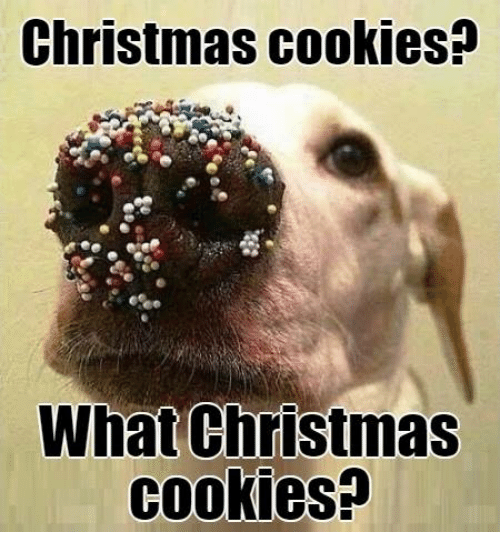 christmas-cookies-what-christmas-cookies-10131789.png