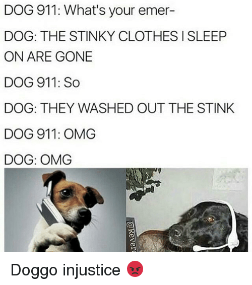 dog-911-whats-your-emer-dog-the-stinky-clothes-i-13171517.png