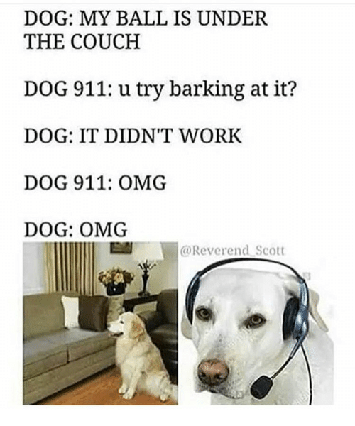 dog-my-ball-is-under-the-couch-dog-911-u-5024048.png