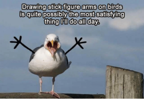 drawing-stick-figure-arms-on-birds-is-quite-possibly-the-28933222.png