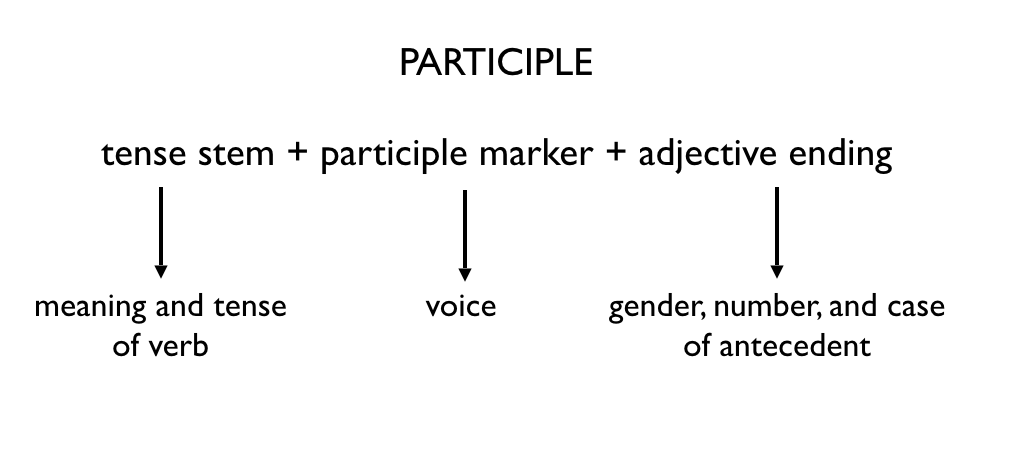 participle-chart-2.png