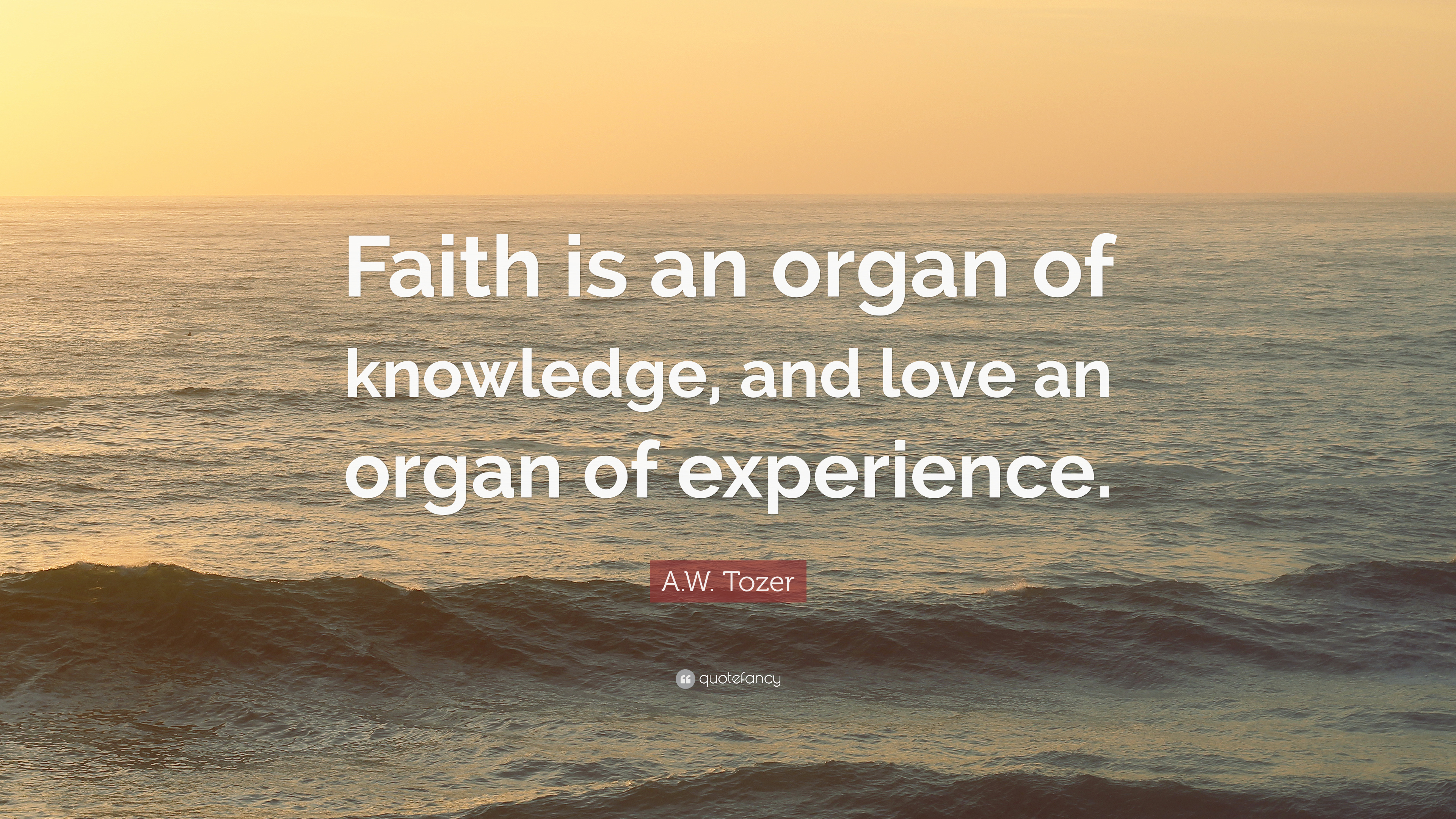 4950733-A-W-Tozer-Quote-Faith-is-an-organ-of-knowledge-and-love-an-organ.jpg