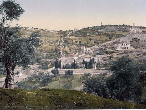 Mount-of-Olives-and-Gethsemane.-1890-1900.-Photochrome-Print-300x226.jpg