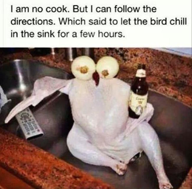 the-best-funny-pictures-of-turkey-chill.jpeg