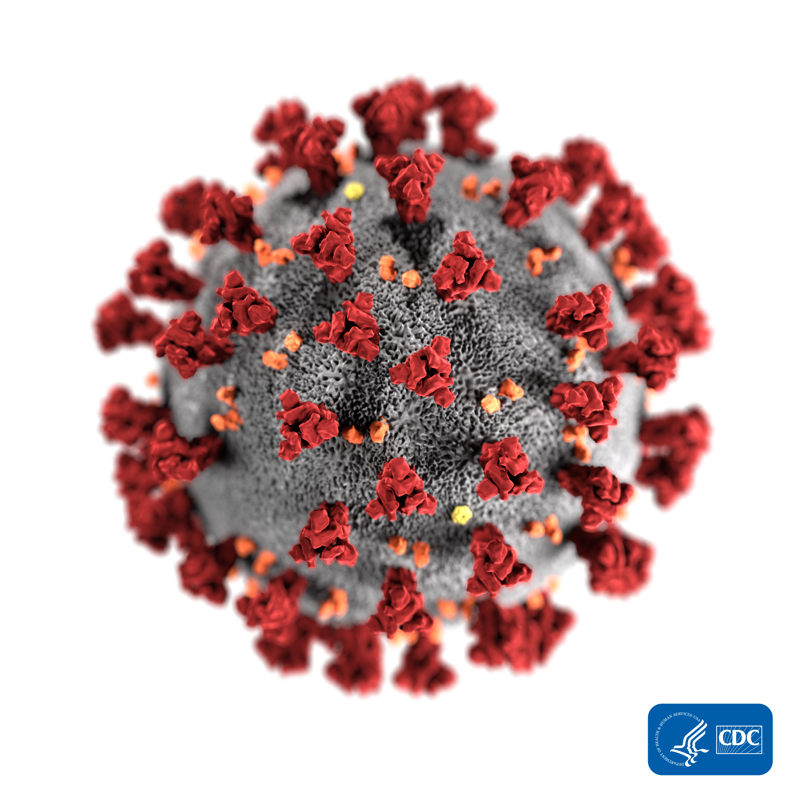 Coronavirus-1.jpg