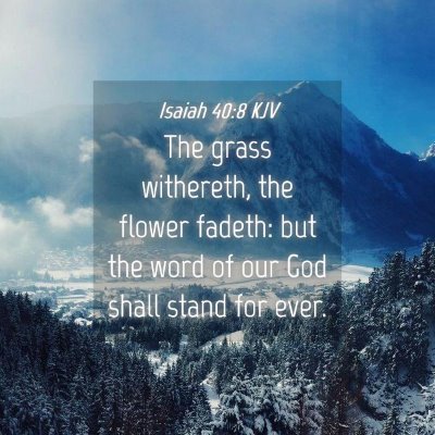 Isaiah-40-8-KJV-The-grass-withereth-the-flower-fadeth-but-the-I23040008-L04-TH.jpg