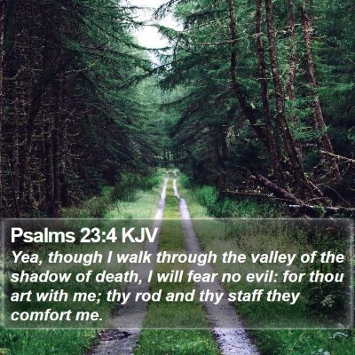 Psalms-23-4-KJV-Yea-though-I-walk-through-the-valley-of-the-I19023004-L01-TH.jpg