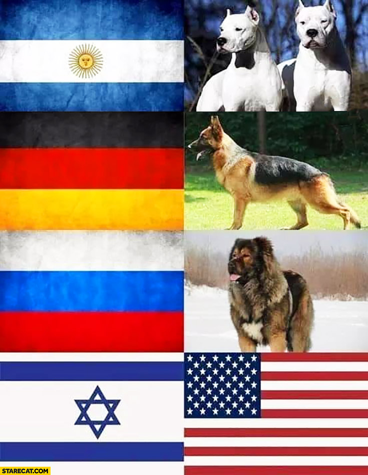 every-country-has-their-dog-israel-have-the-united-states.jpg