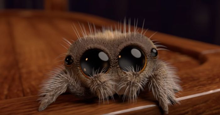 adorable-animation-lucas-the-spider-joshua-slice-fb__700-png.jpg