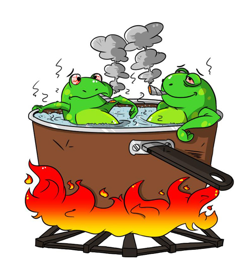 boiling-frogs-smoking-weed-a-500.jpg