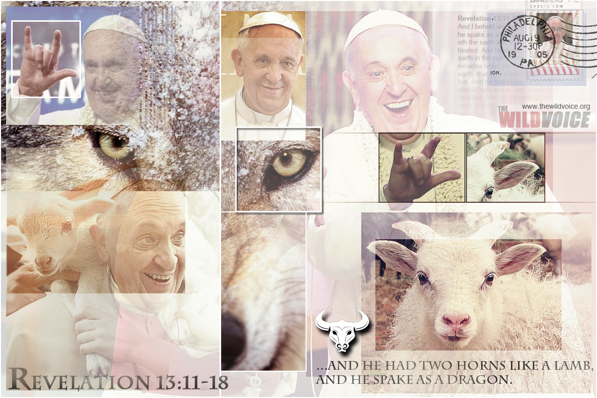 pope-postcard.jpg