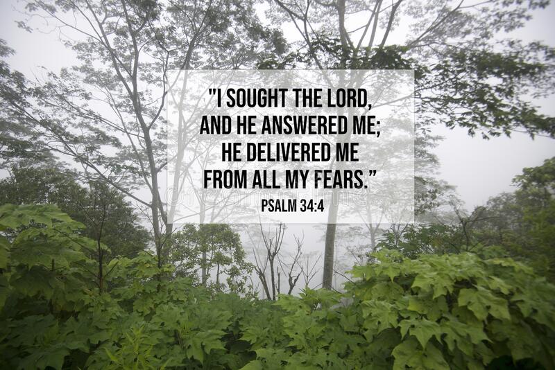 bible-verse-inspirational-quote-i-sought-lord-answered-me-delivered-me-all-my-fears-psalm-green-forest-241658183.jpg