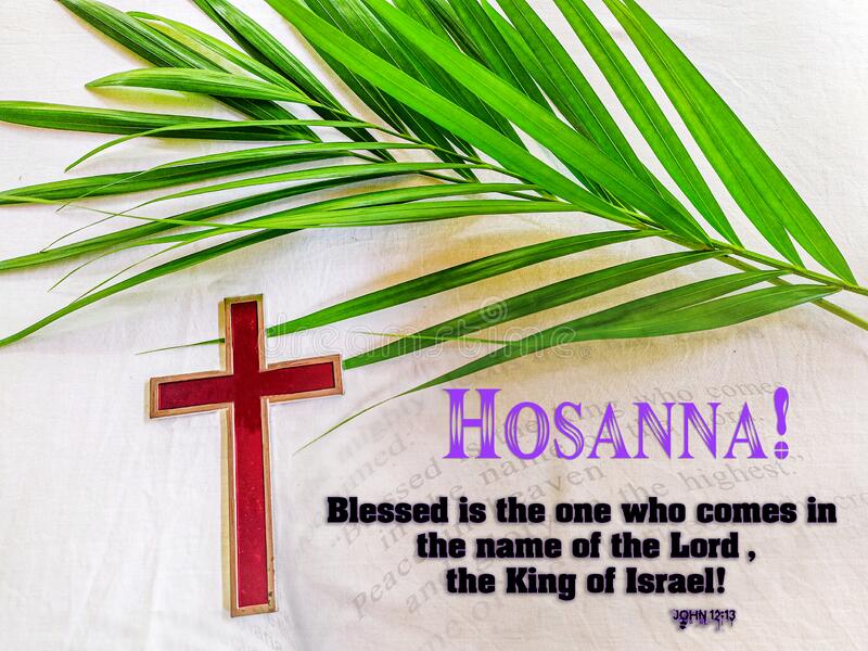 palm-sunday-hosanna-highest-blessed-one-who-comes-name-lord-king-israel-hosanna-highest-177707212.jpg