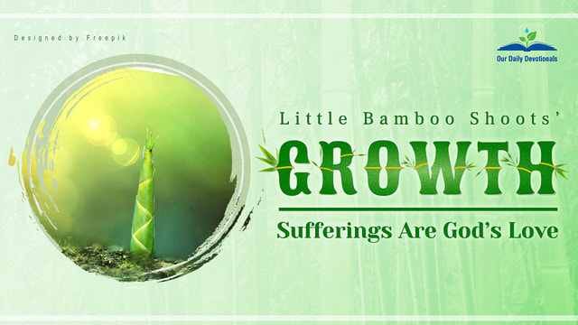 Little-Bamboo-Shoots-Growth.jpg