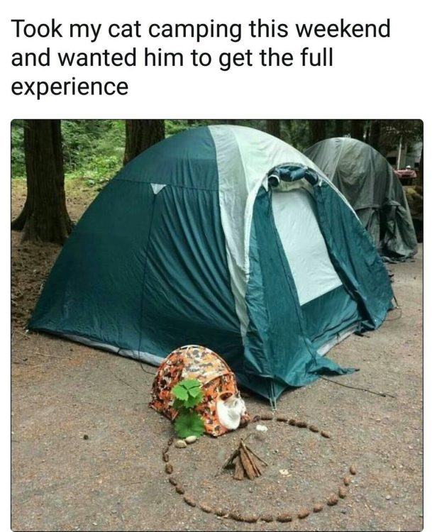 camping-meme-31.jpg