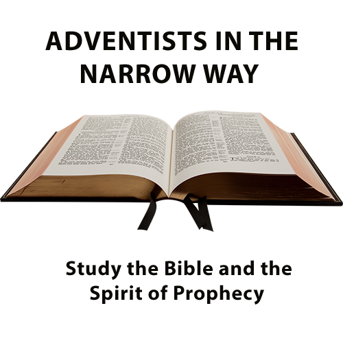 www.narrowwayadventists.com